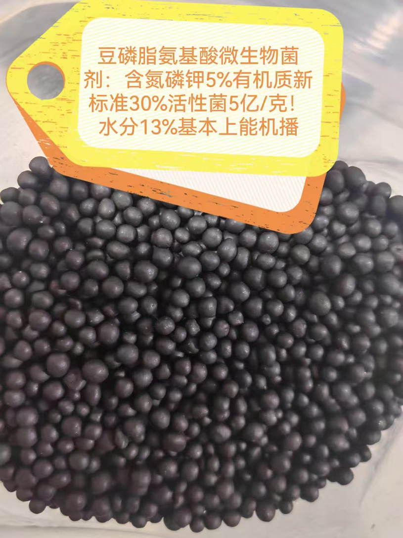 微信图片_20241225094659.jpg