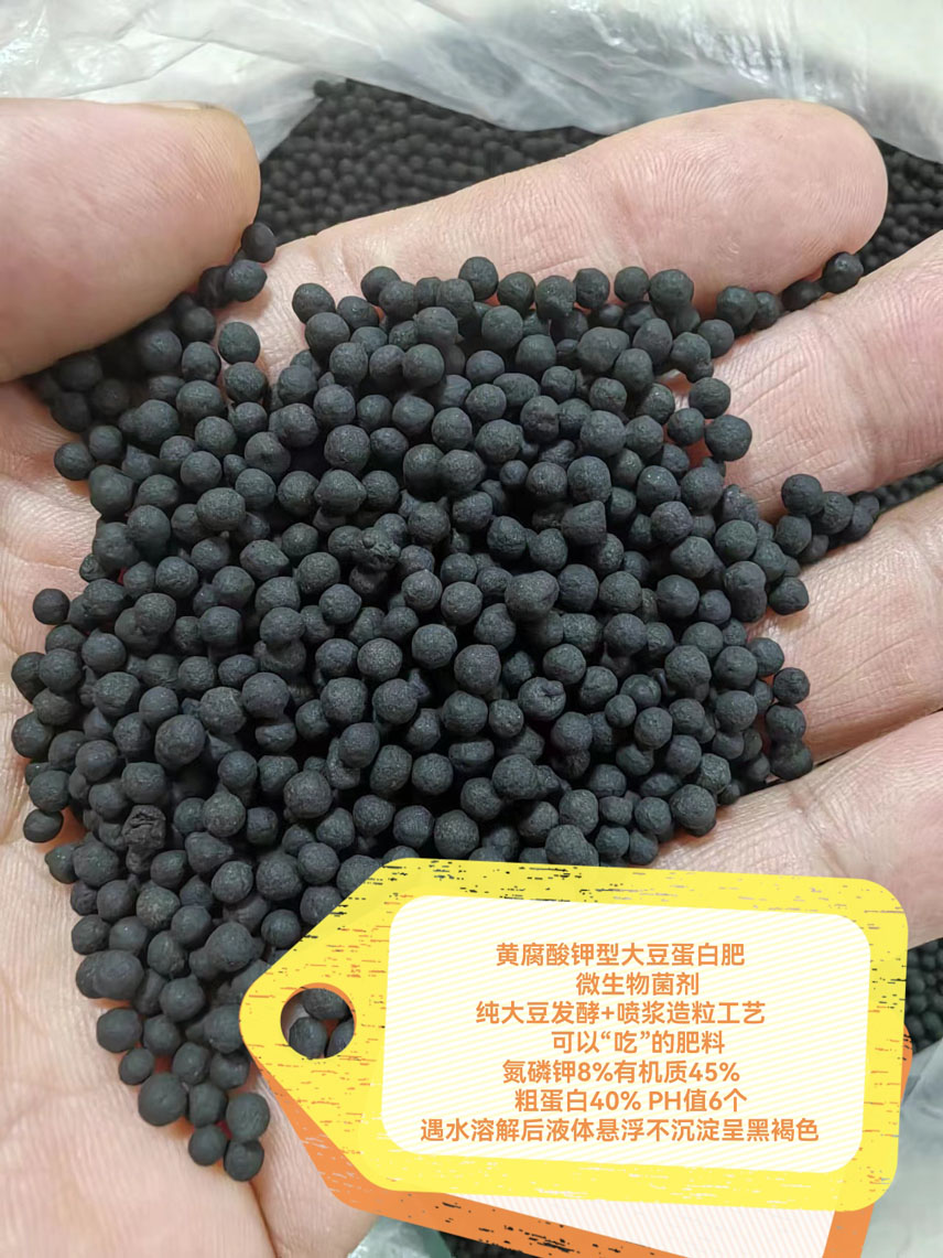 微信图片_20250507090008.jpg